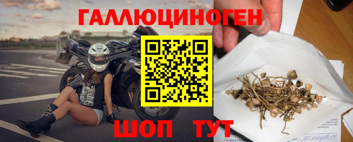 Галлюциногенные грибы мухоморы Сланцы